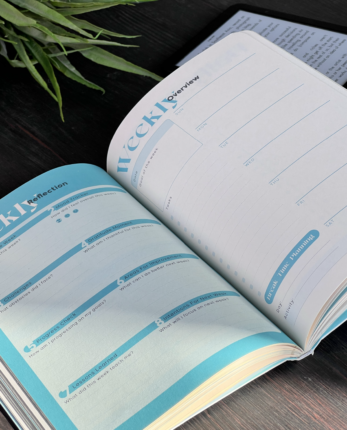 The 4 Quarters Kit - Tropical Geo