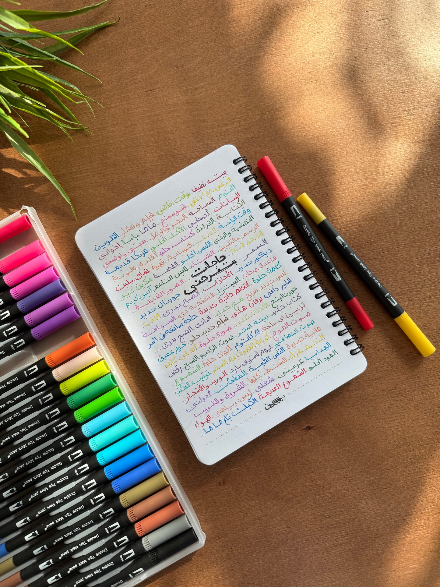 Dual Art Markers - 24