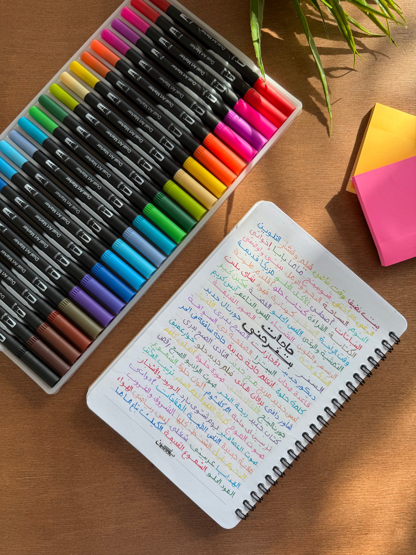 Dual Art Markers - 24