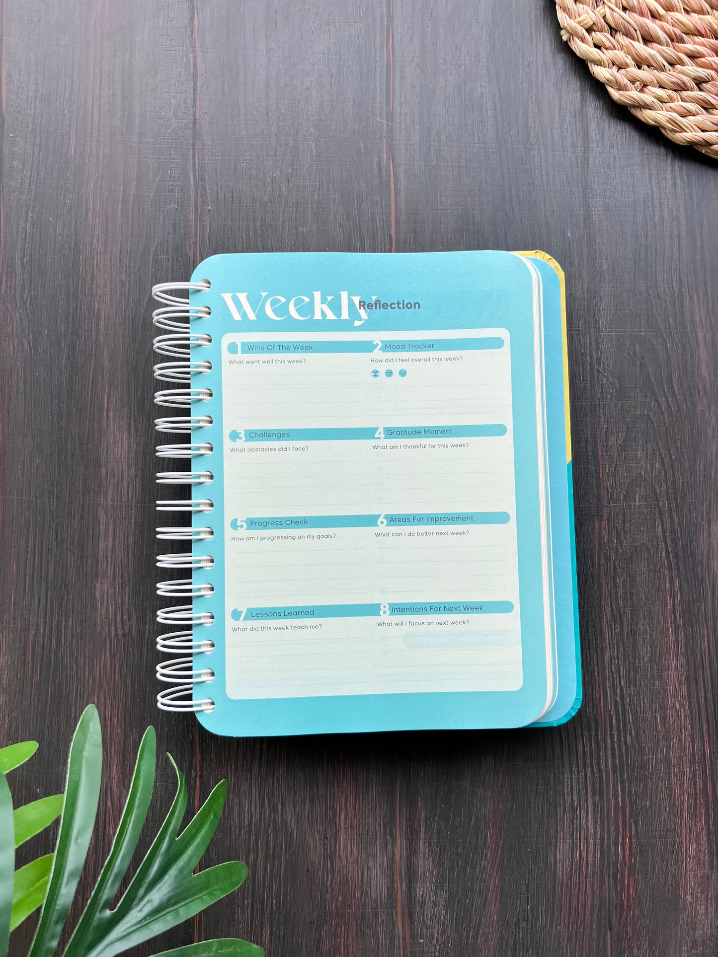 MindMap Yearly Planner - Mint Home